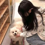 全民星乐团手游下载